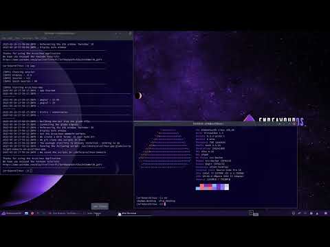 ArcoLinux : 3571 Remove lightdm and use startx (xinit) to launch Chadwm