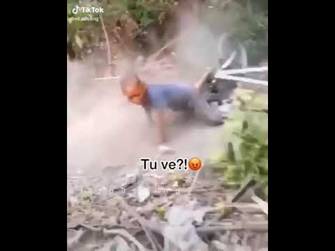 Tú ve no voy a jugar con ustedes mamaguevo (original)
