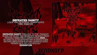 DEFEATED SANITY "Liquifying Cerebral Hemispheres"