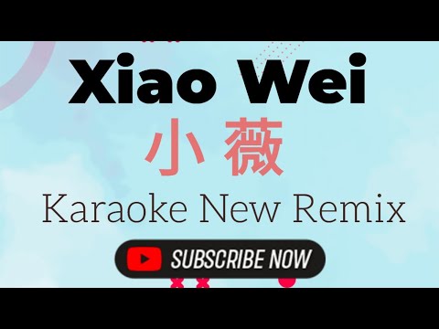Xiao Wei Karaoke Remix 小薇 NEW (黄品源-Huang Pin Yuan)