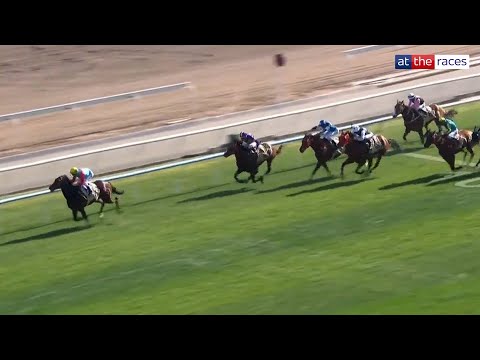 17 in a row! | KA YING RISING wins the Centenary Sprint Cup again! 🚀