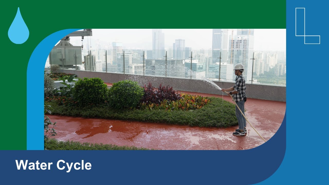 Water: The Source of Life