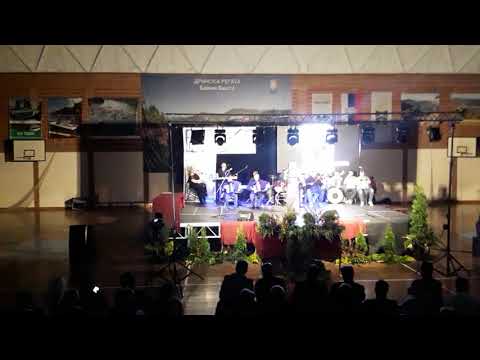 Vesna Šuša - Nek od muke pozelene - (Private video by DANA 2018)