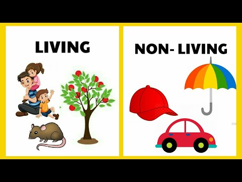 living things and nonliving things | Living and non living things for kids | Living and non living