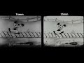 Looney Tunes Sinkin In The Bathtub 1930 16mm Vs 35mm Comparison