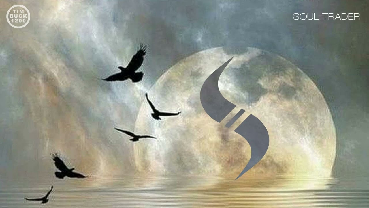 Timbuck1200 - Tricky One