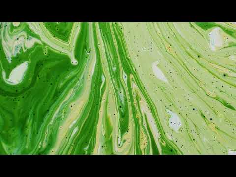 Seinabo Sey - Rom-Com (Audio)