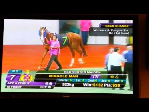 Miracle Man Kranji Singapore Turf Club, 31 Oct 2014