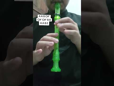 BENTANG JARAK ASMARA - MAN OSMAN FT. TRAFFIC JAM | TUTORIAL RECORDER TIKTOK VIRAL