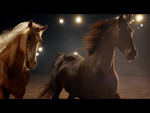 Der neue Trailer | CAVALLUNA – „Legende der Wüste“
