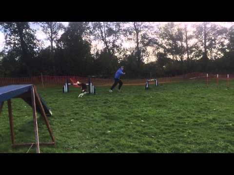 Protest Training 29/10/2013