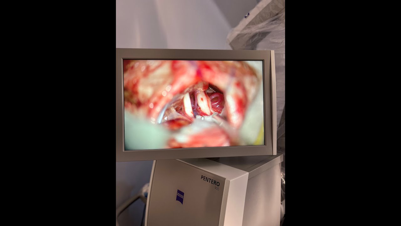 Felipe Eduardo Nares López-0