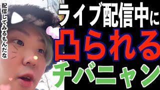 チバニャン、生配信中にポケモントレーナーに凸られる【チバニャン天才】