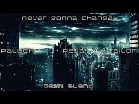Paluch x Peja x Bilon - Never gonna change (DZiMi Blend) 2017