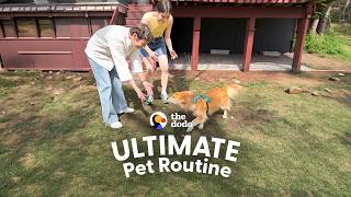She Took Her Dog Back Home — And Planned His Perfect Day | The Dodo