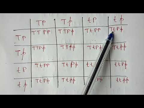 POINT MUTATION BY PHANINDRA GUPTHA