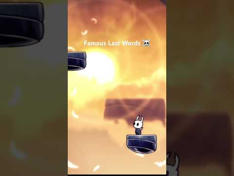 "What am I about to fight sun?" #hollowknight #hollowknightsilksong #hk