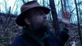 Putting together the pieces of the puzzle to see the Blig Picture