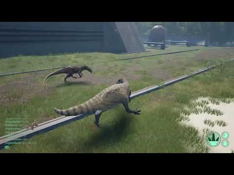 The isle, Alberto vs allo