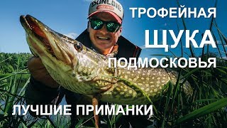Рыбалка на щук в подмосковье