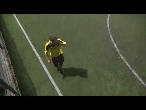 11 КХ 1-2 Viva cup - HZ