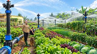 Build An Automatic Sprinkler System For The Farm - Self-Sufficient Lif