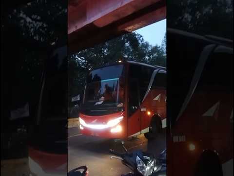 AGRA MAS BM043 #bus #automobile #busmania #vidiobusindonesia #tranding #vidoeshort #otomotif