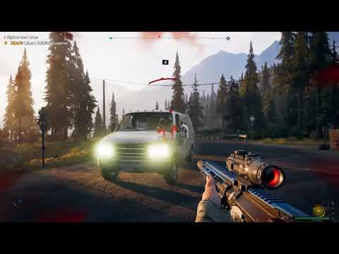 Cheeseburger accepts my salmon offering