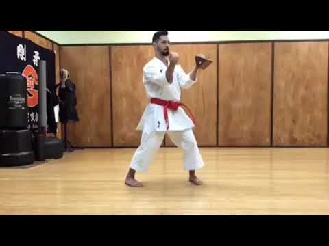 Suparinpei Stability/Transition Training - Ariel Torres Karate
