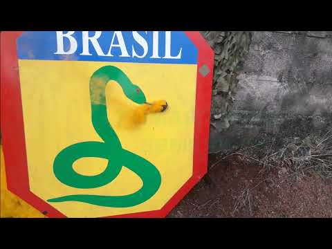 BPVMA - OPERAÇÃO ROSSORE -2021