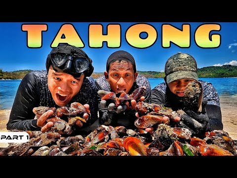EP920-P1 - Tahong Forage and Cook