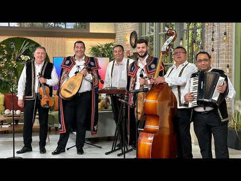 Petrecere cu Taraf la PRO-TV - Constantin și Cosmin Gaciu & Taraful Iancu Jianu