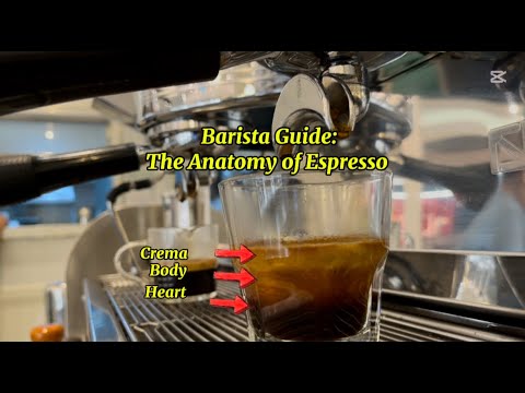 THE THREE LAYERS OF AN ESPRESSO | ANATOMY OF ESPRESSO