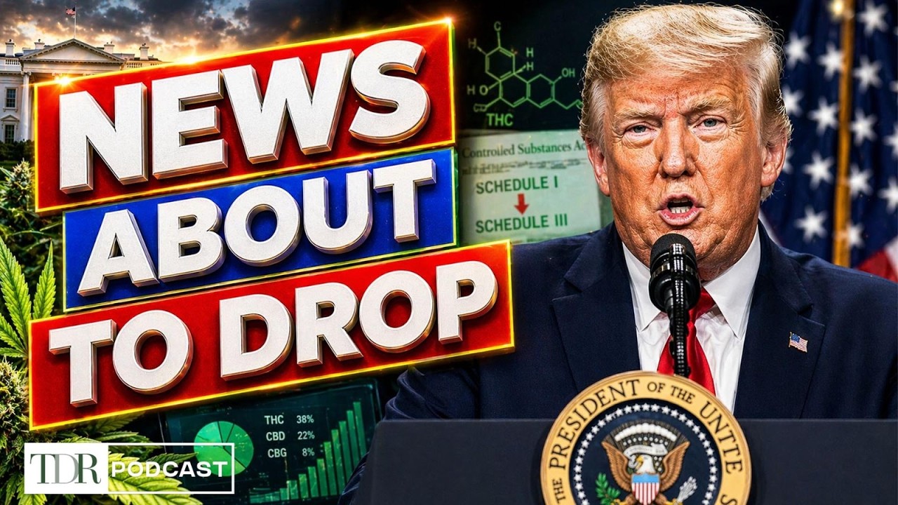 Cannabis Rescheduling Back in Motion | TDR Cannabis in 5