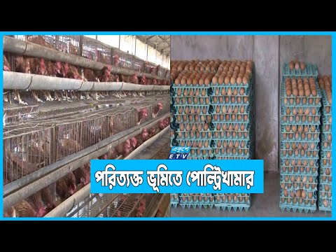 পরিত্যক্ত ভূমিতে পোল্টি খামার গড়ে ডিম ও মাংস উৎপাদন
