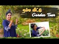 இந்த செடி என் இப்படி ஆச்சு Full Garden Tour Hema S Diary