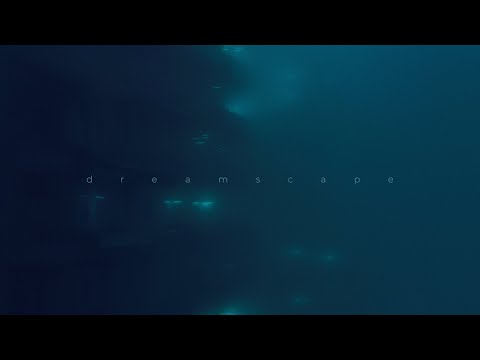 .diedlonely, jay karin - end