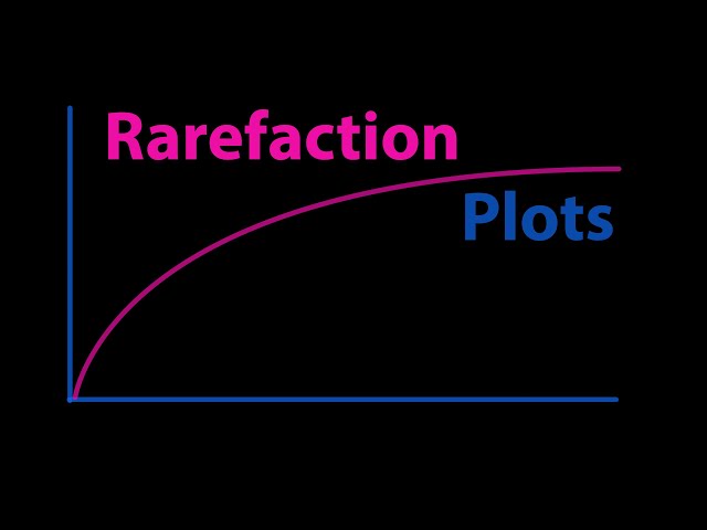 Video Pronunciation of rarefaction in English