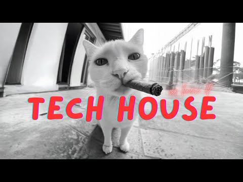 4K | 2025 | Club Mix |🔥NEW: Cat Dealers - I'm A Man | CID | Discip | Layton Giordani | Westend