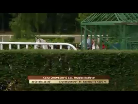 Dostihy Pardubice – živé vysílání