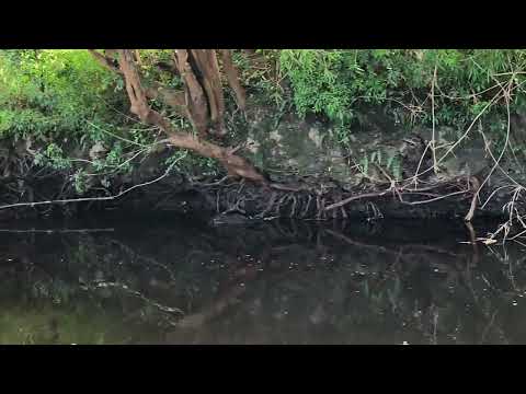 PARCELA RUTA CAÑITAS-LOS MUERMOS