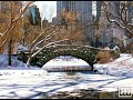 How Much Snow Will Fall In NYC During The Winter Of 2020 21