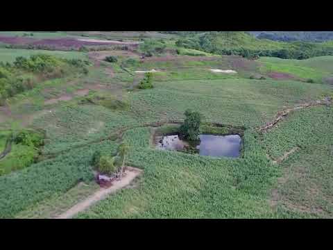 30 HA ĐẤT EA LY, SÔNG HINH, PHÚ YÊN ĐANG TÌM CHỦ MỚI - GIÁ ĐẦU TƯ F0