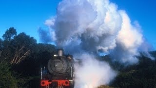 preview picture of video 'South African Steam: George Steam Festival 1999 Part 2'