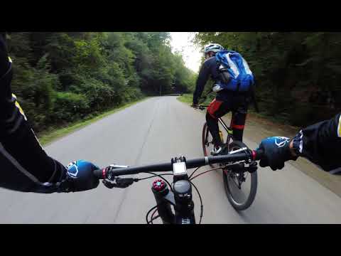 Damiș - Roșia - Piatra Bulzului - Sohodol