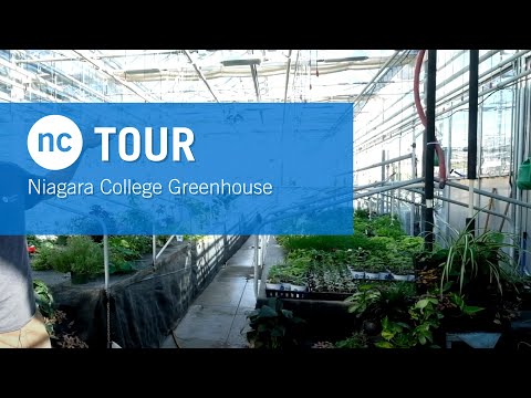 NC Tour ~ Niagara College Greenhouse