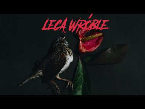 Lecą wróble - Creepypasta