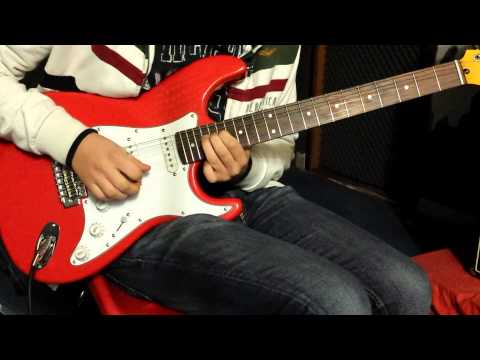 Sample Fender Stratocaster - Handcrafted