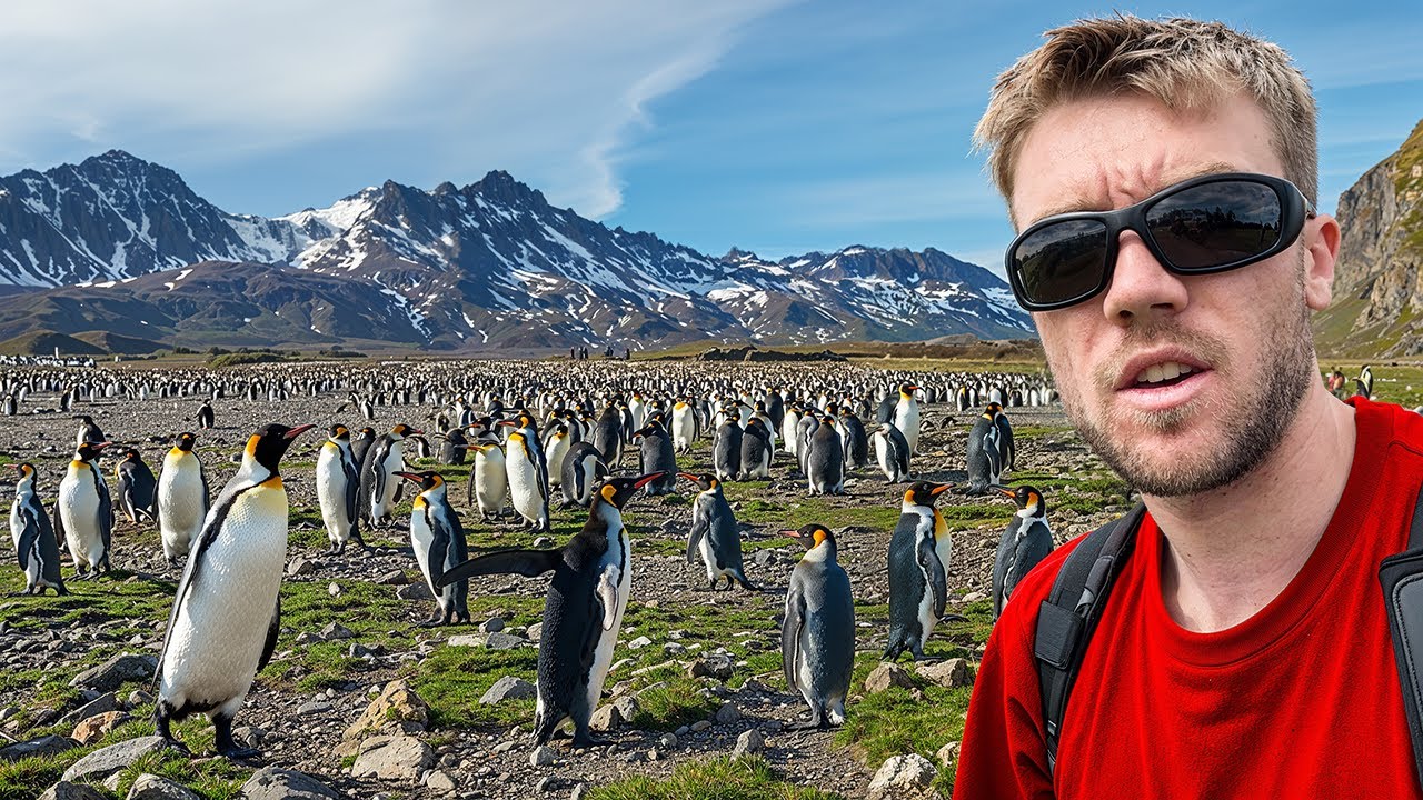 The GEORGIAN ISLANDS Make No Sense