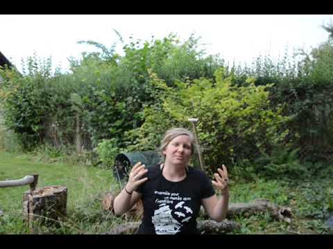 Mit der Gruppe wegfahren/gemeinsam dem Alltag entfliehen